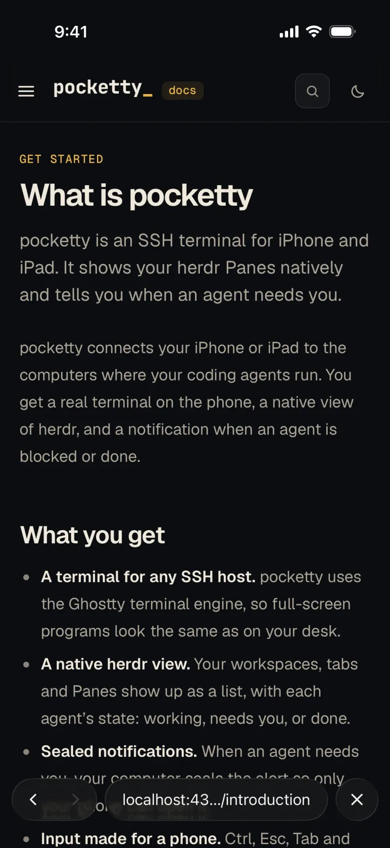 Screenshot of Pocketty - showing app interface and features